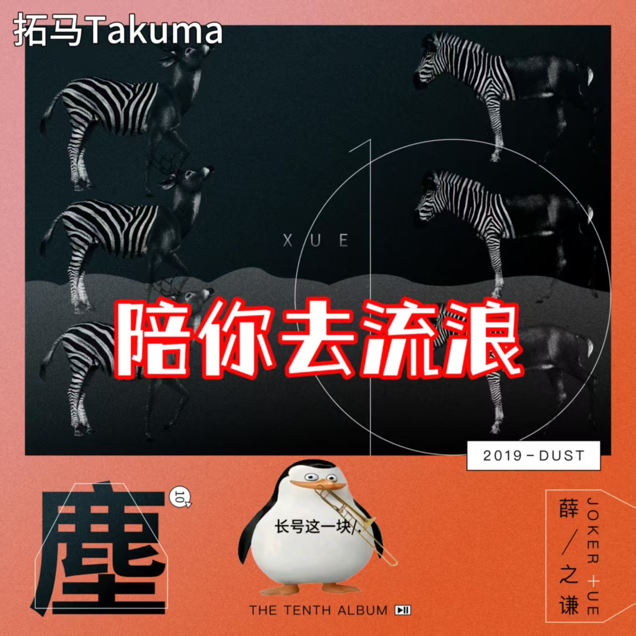 陪你去流浪
