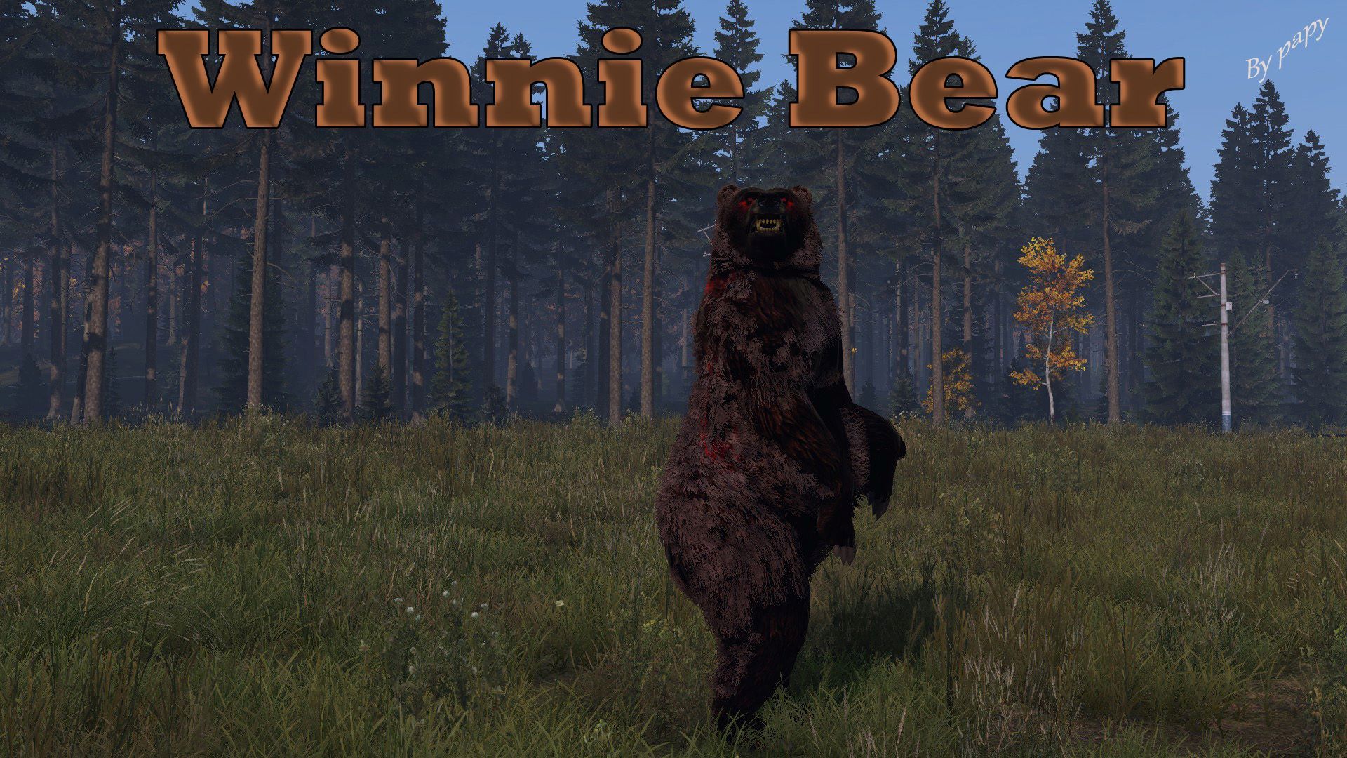Winnie_Bear