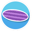 Rug Purple Stripes Ova Vertical