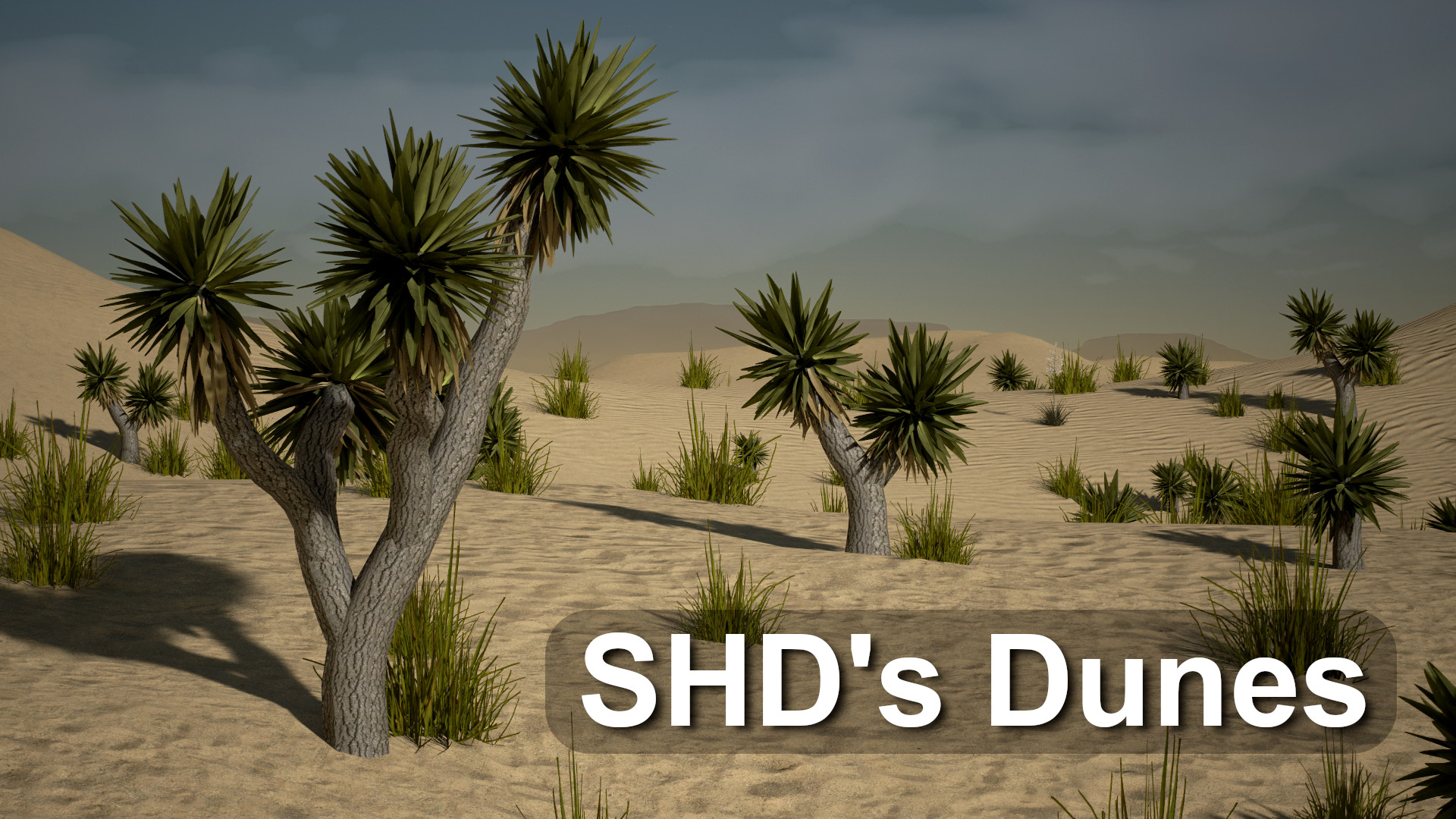SHD's Dunes
