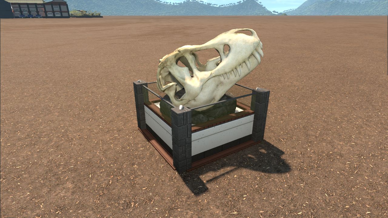 Rex skull display