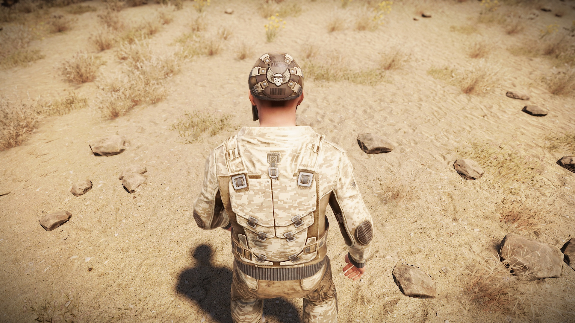 Desert Raiders Facemask