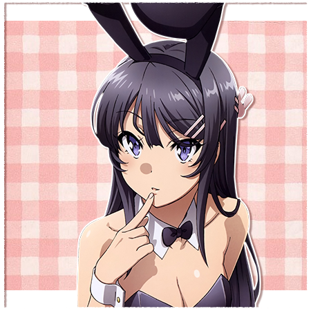 Mai Sakurajima [ Bunny Suit ]