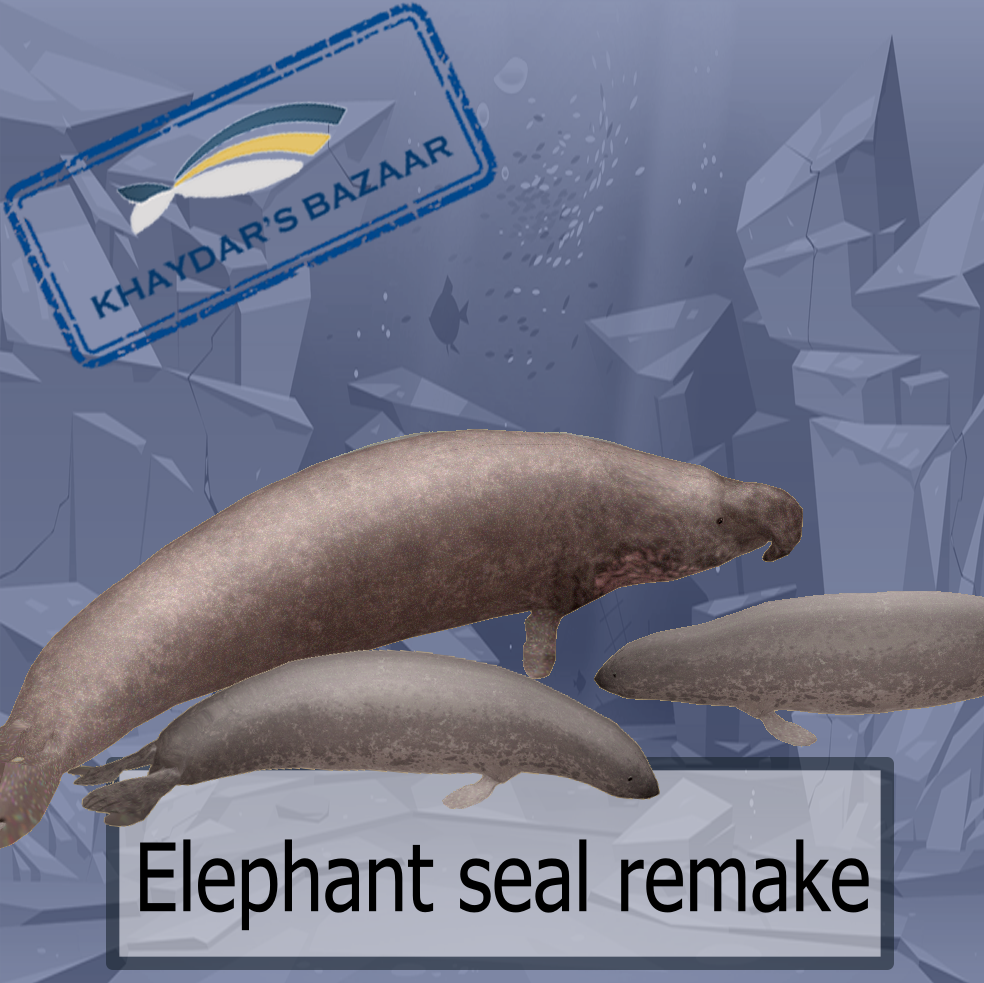 Khaydar's Bazaar - Elephant Seal