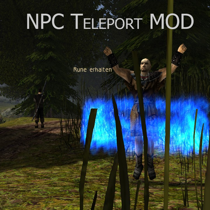 NPC Teleport MOD