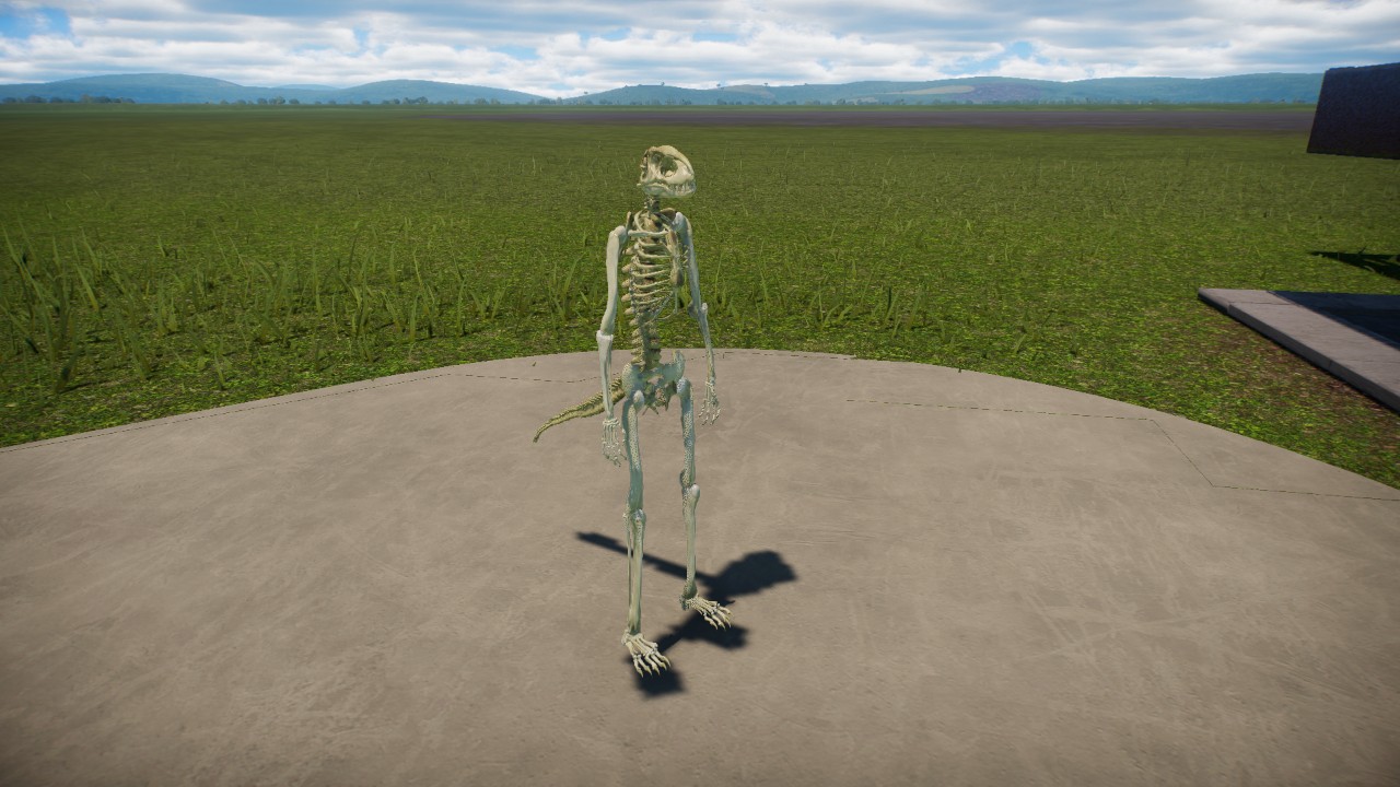 Argonian Skeleton