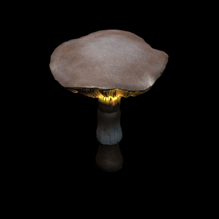 Mushroom_Middle_2_1