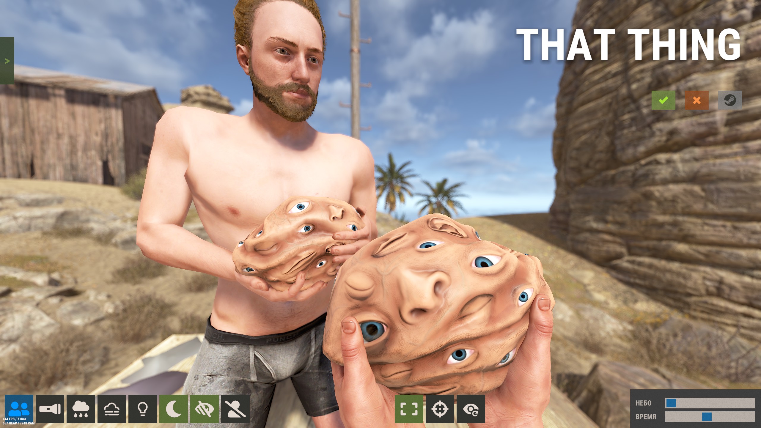 That Thing Rock