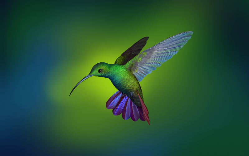 deepin os - hummingbird
