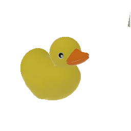 D u ck?