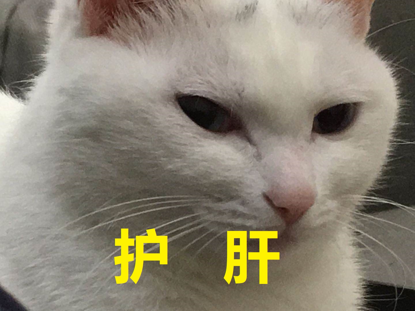 护肝行动 easy_drop( 已失效) – Don't Starve Together Mod