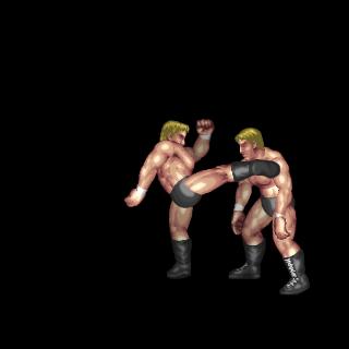 Middle Kick (Combo Clincher)