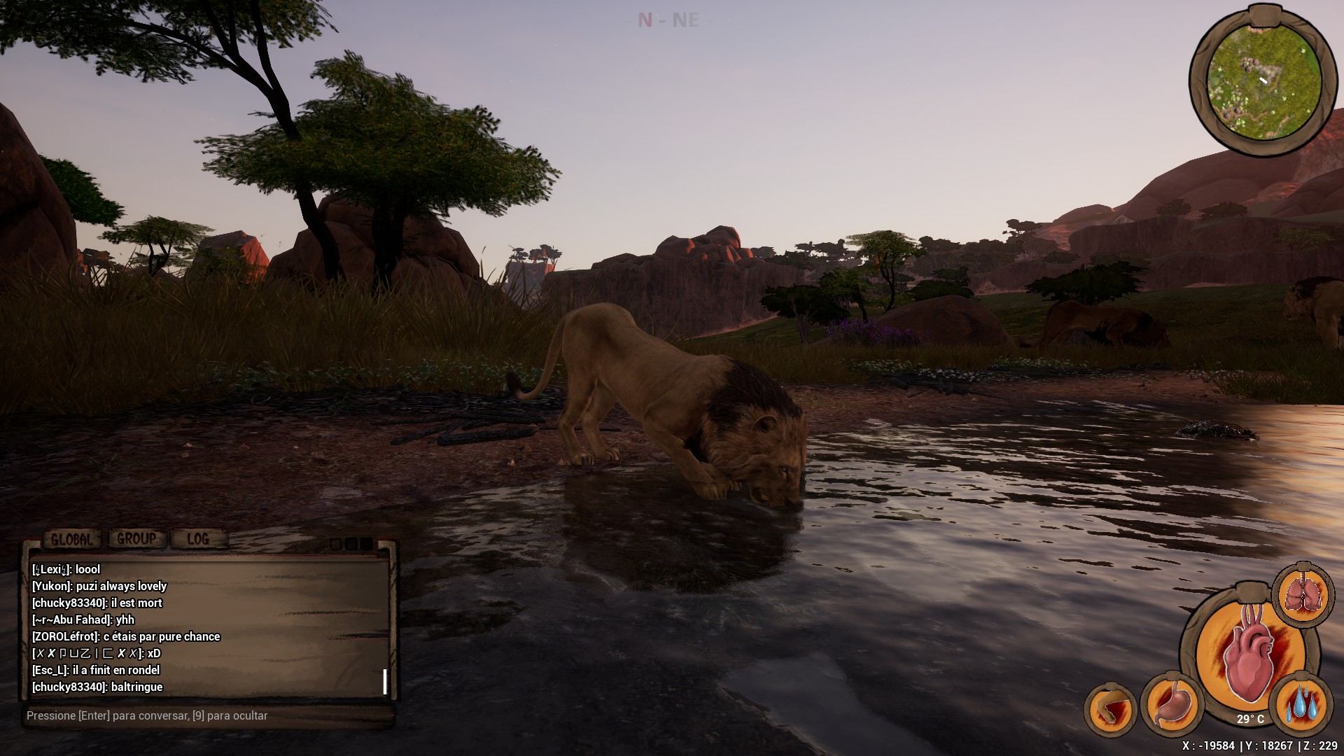 Игровой процесс Animalia Survival