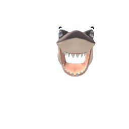 Shark head