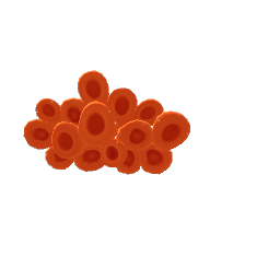 Coral decor preview
