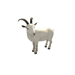 goat