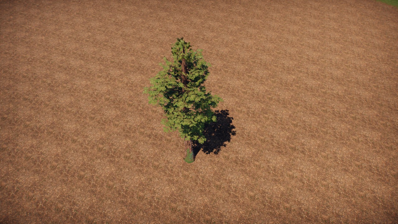 Coastal decoration 6