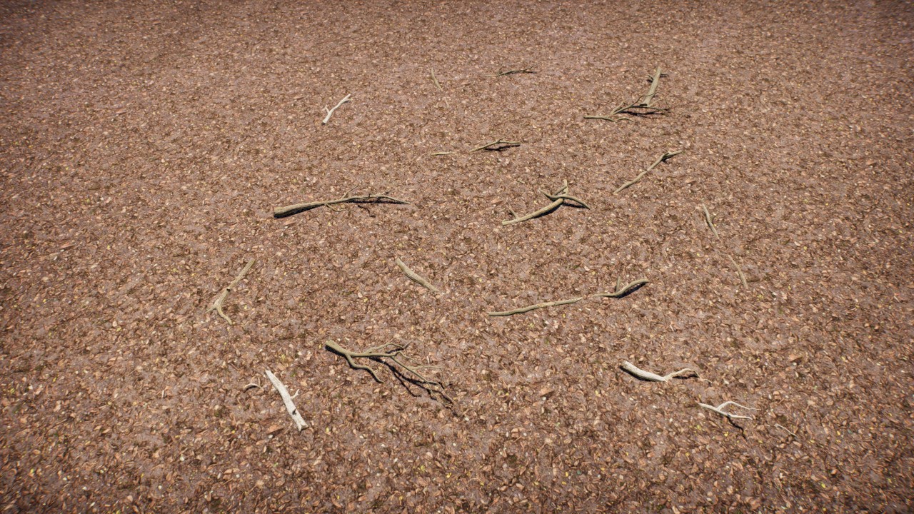 Branches on the ground / Ramas en suelo 1
