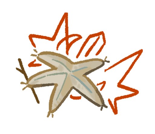 何海星