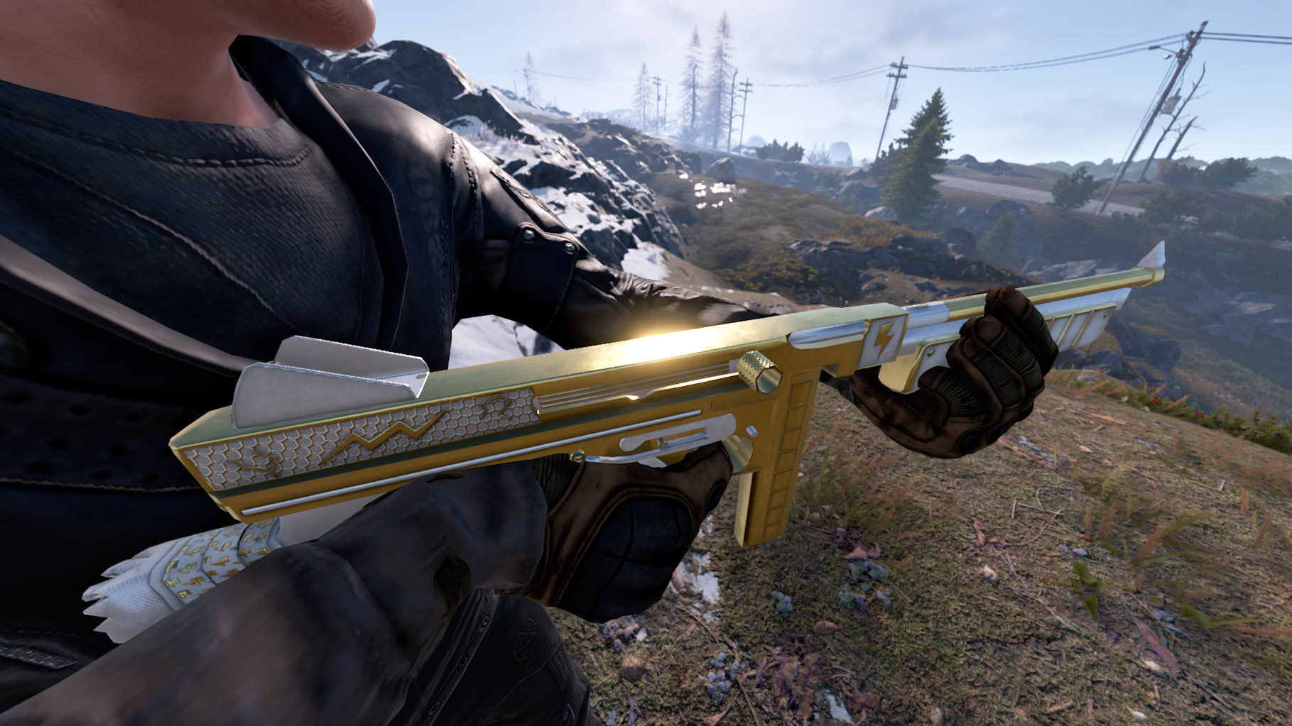 Thundergold Thompson thumbnail 10