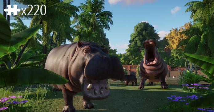 Zoo 10