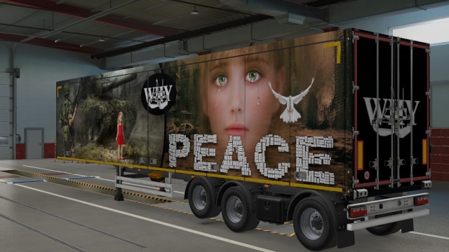 Standard Skin for scs box trailer