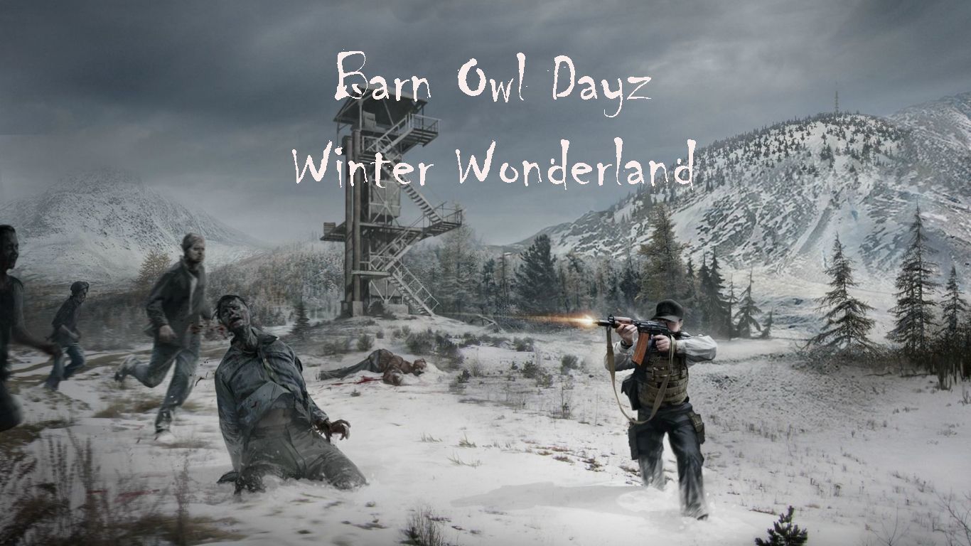 Barnwinter