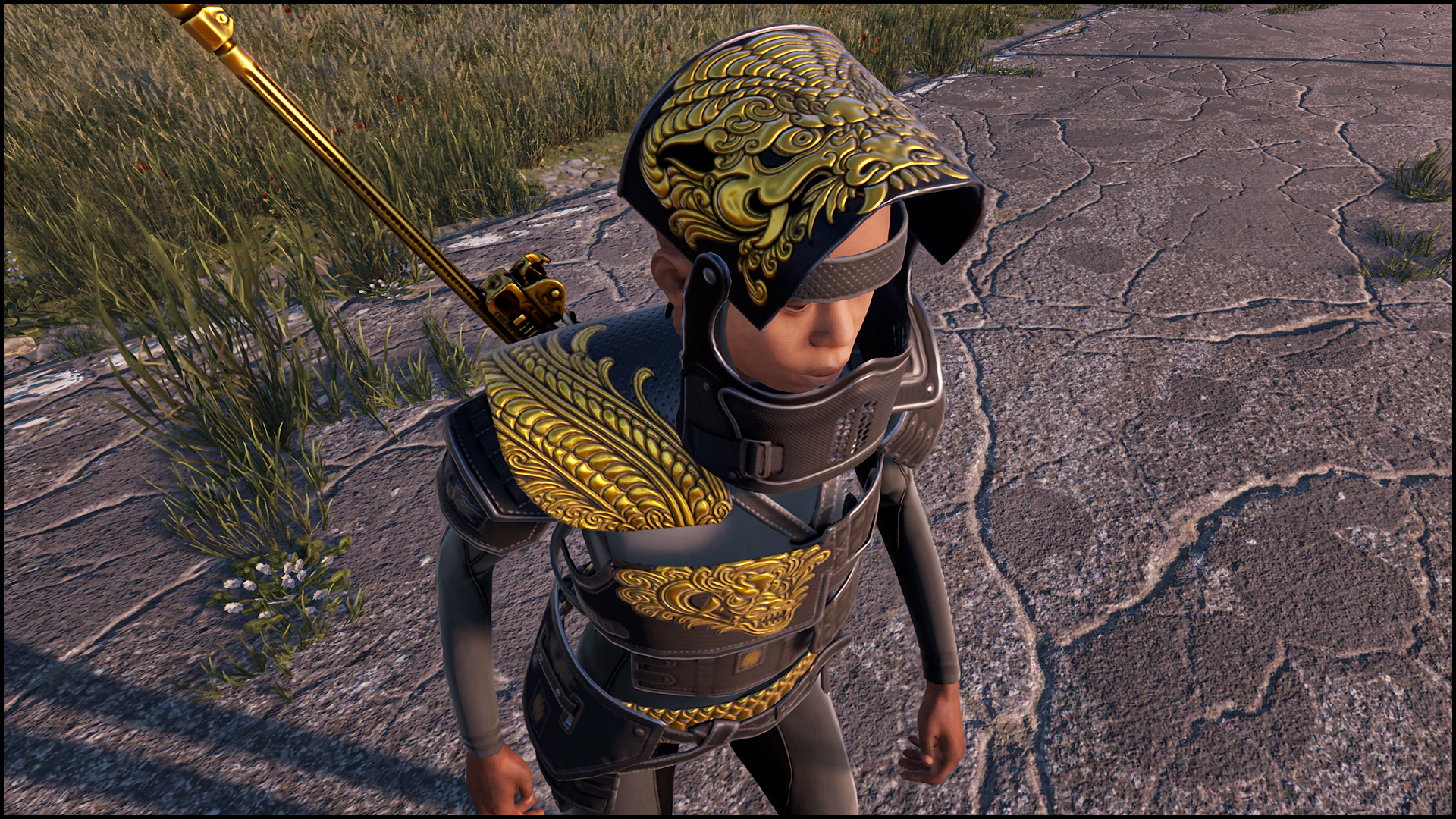 Dragon Rage Vest