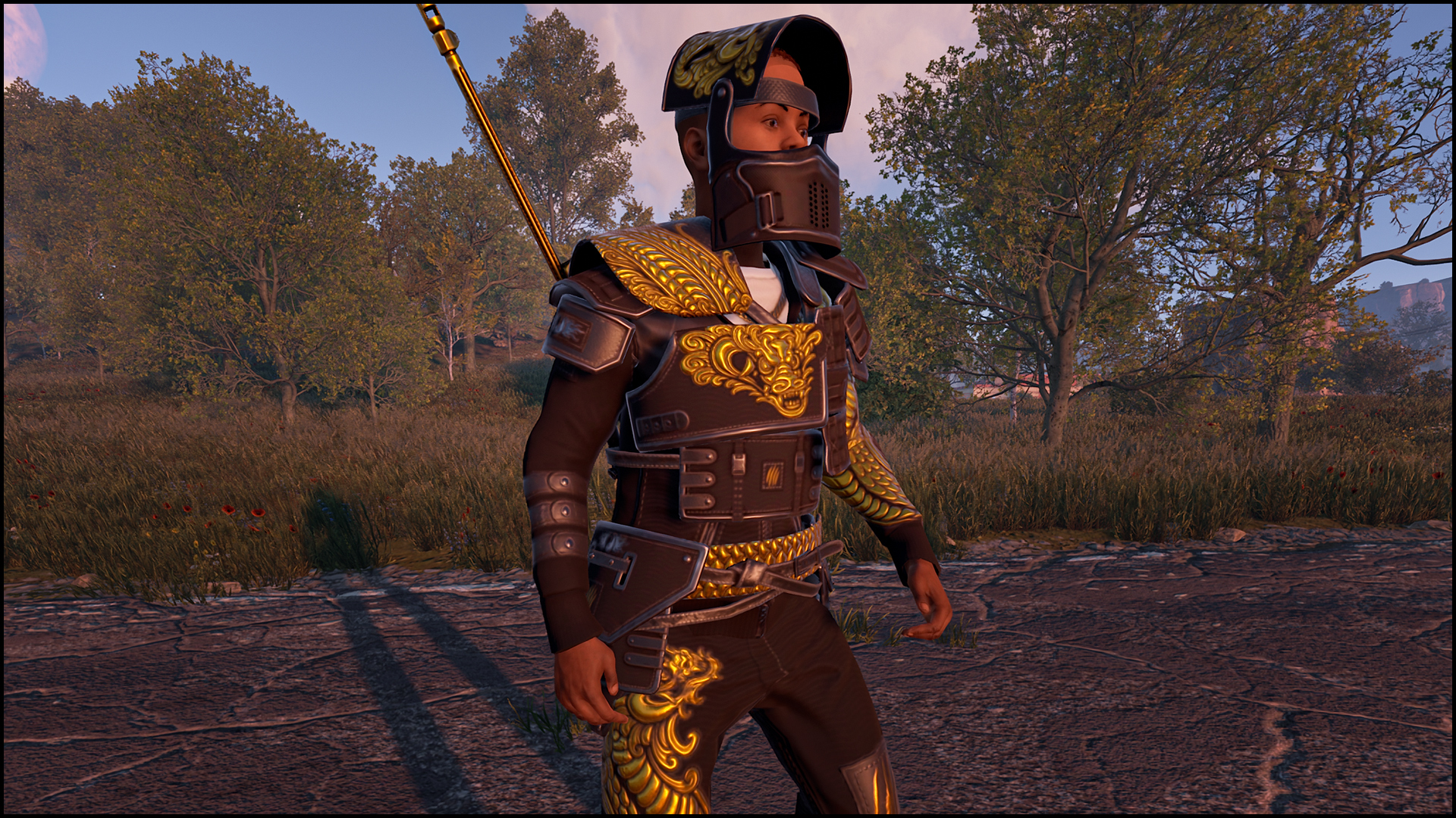 Dragon Rage Vest