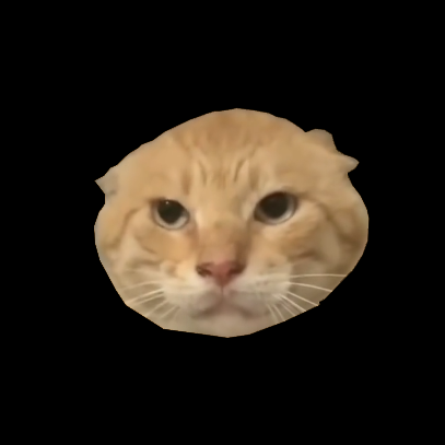 耄耋宠物