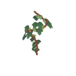 Vine twirl A