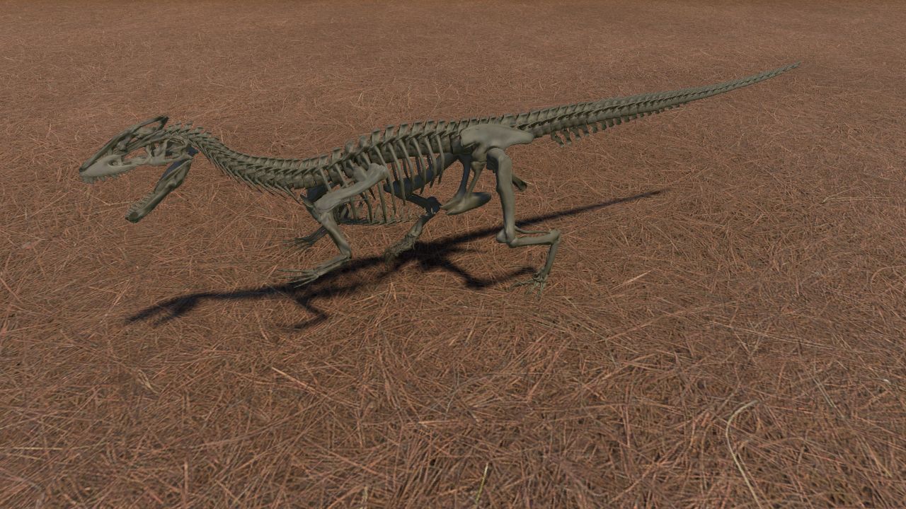 Guanlong Skeleton