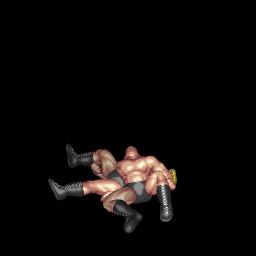 One Hand Back Hook-Leg Pinfall (片手背面式片エビ固め)