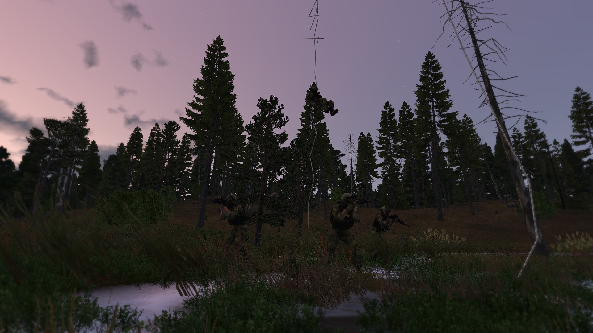 [SP] Swamp Crash