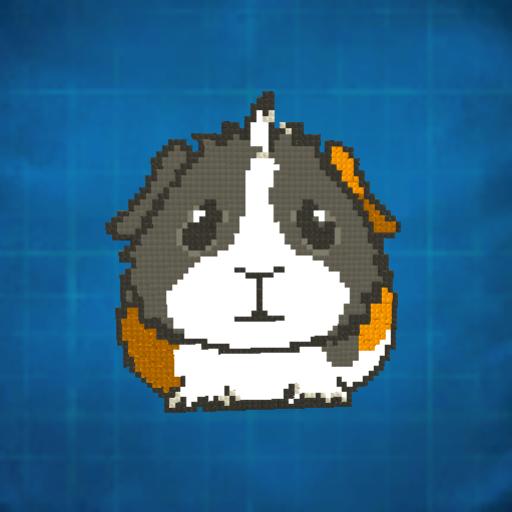 GUINEA PIG