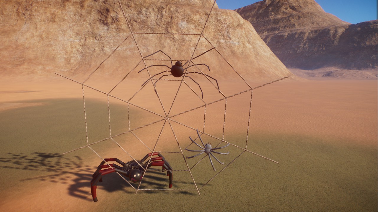 spider web with spiders, Spinnen mit Netz