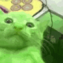 Mini Alien Cat replaces Butcher