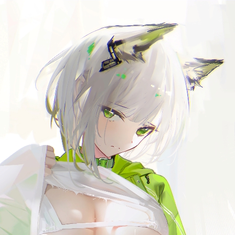 凯猫猫 x-ray preview