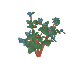 blueberry bush