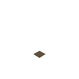 1x1 Tatami Mat Old Style