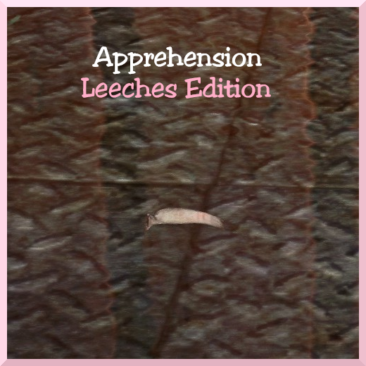 Apprehension Leeches Edition
