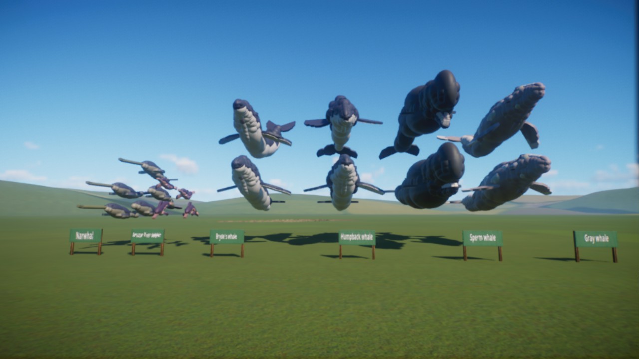 Dark's:Whale pack
