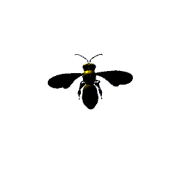 bee wall decor
