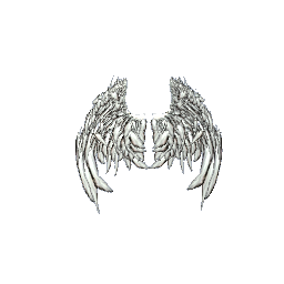 angel wings preview