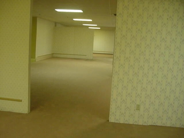 The Backrooms
