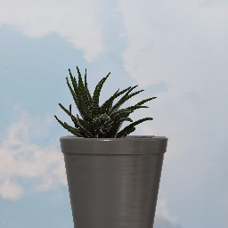 Potted Plant
