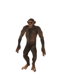 primitive monkey man model