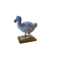 dodo bird