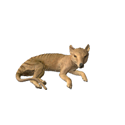 Tasmanian Tiger preview