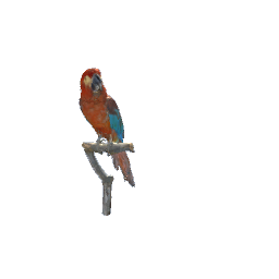 Cuban Mccaw